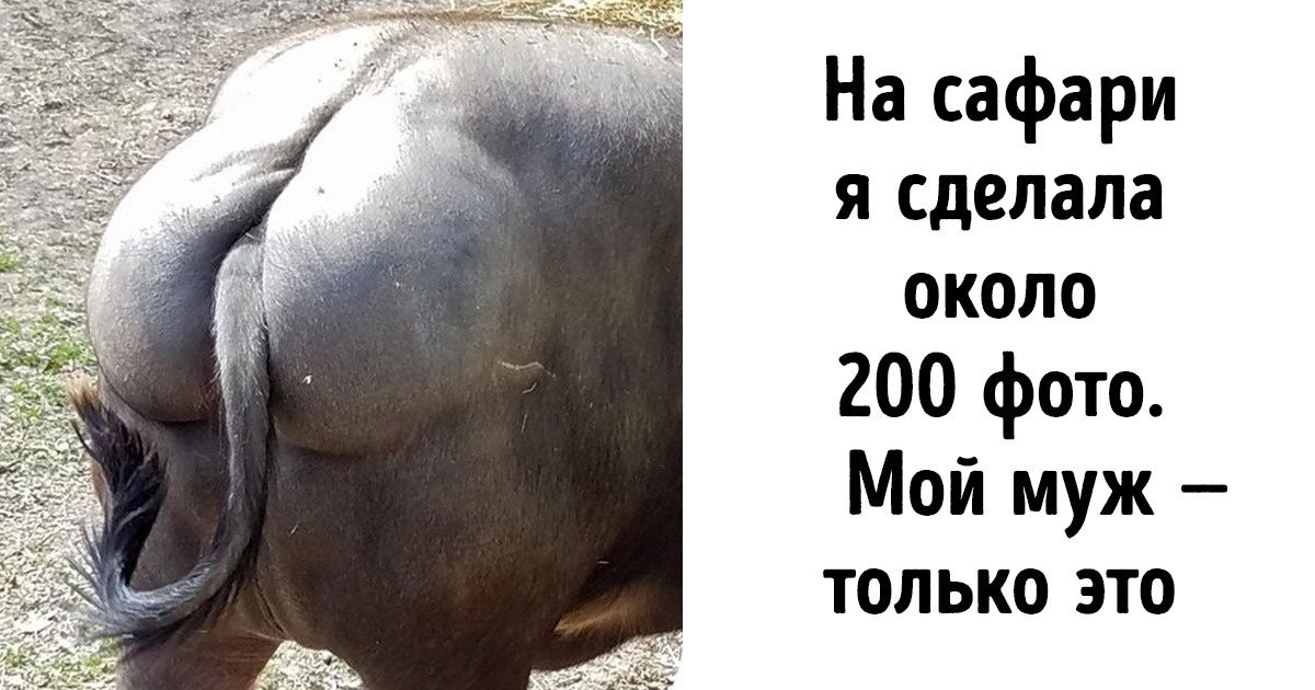25 доказательств того, что мужчины знают, как с толком проводить время