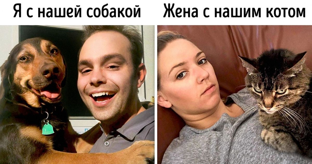 11 фундаментальных отличий собак от котов 11 фундаментальных отличий собак от котов