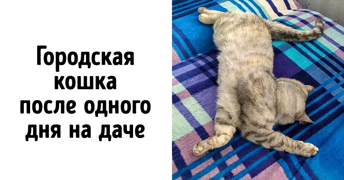 Если вы мертвецки устали и ждете выходных, знайте: вы не одиноки