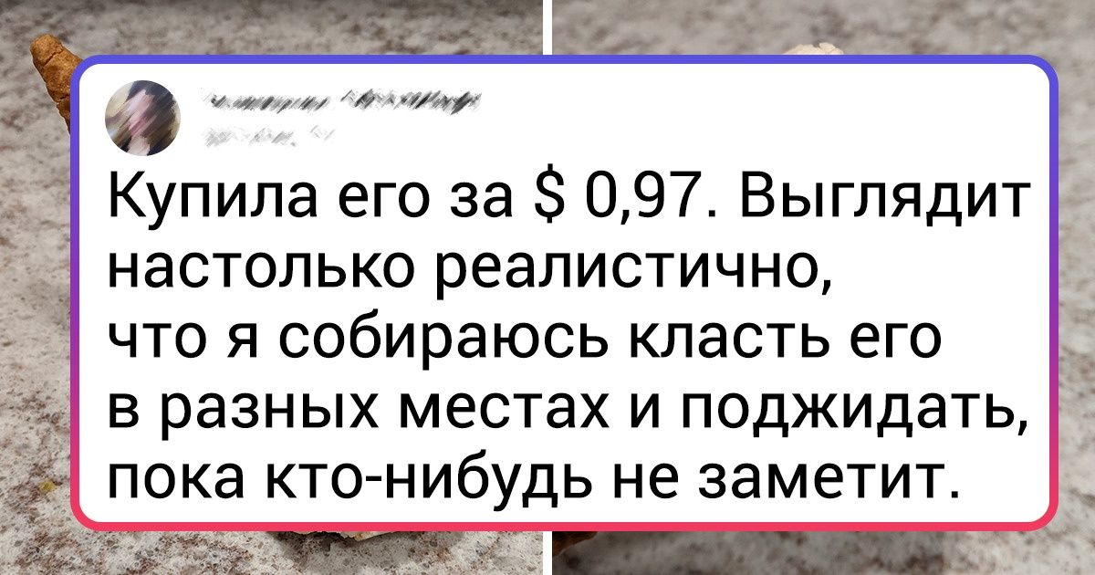 20+ настоящих жемчужин из комиссионки, которые неутомимые барахольщики нашли среди обычного хлама 20+ настоящих жемчужин из комиссионки, которые неутомимые барахольщики нашли среди обычного хлама