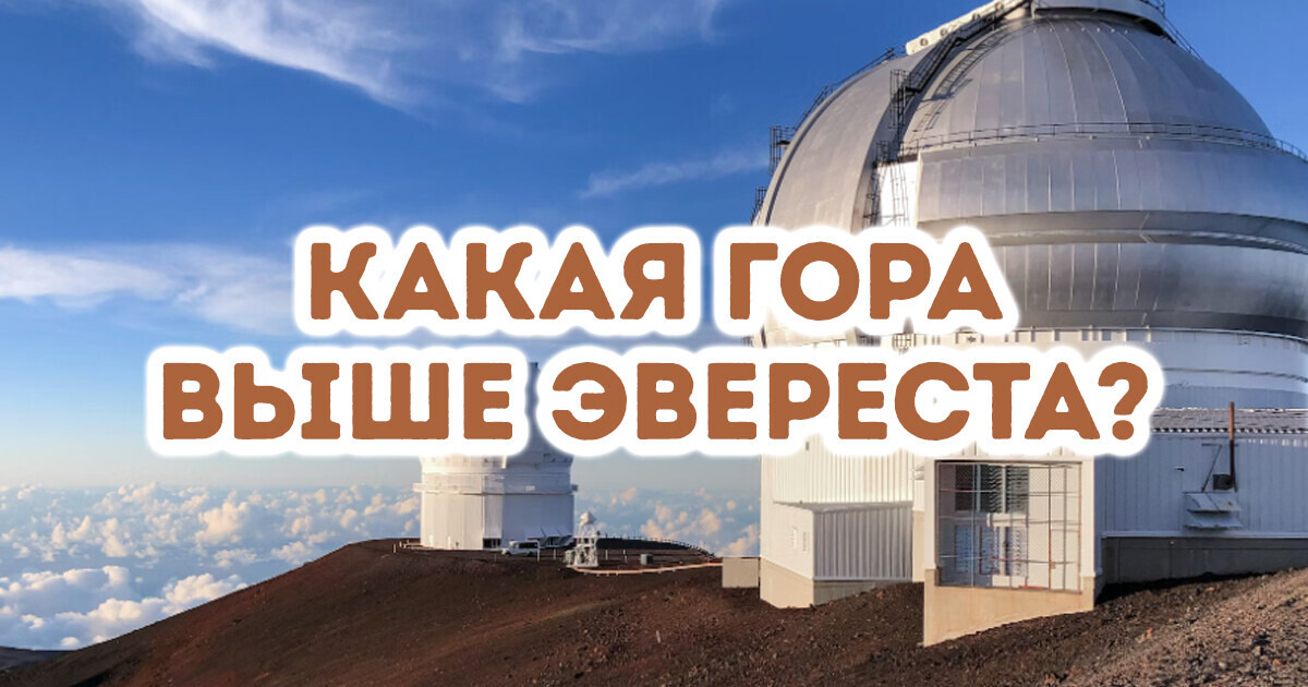 15 школьных вопросов, на которые не каждый отличник сходу ответит 15 школьных вопросов, на которые не каждый отличник сходу ответит