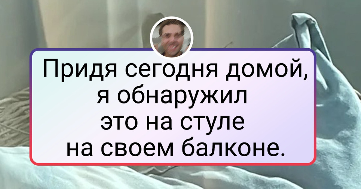 19 подтверждений того, что даже в собственном доме не скрыться от сюрпризов 19 подтверждений того, что даже в собственном доме не скрыться от сюрпризов