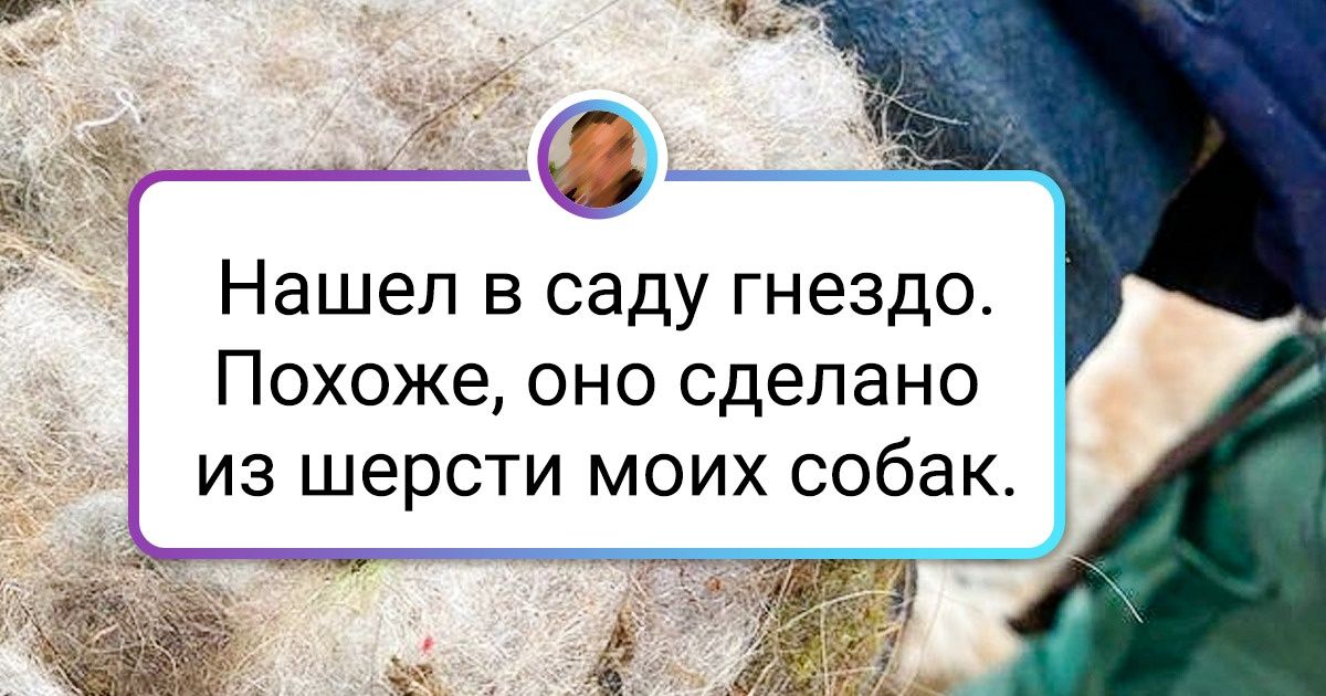 16 человек, которые умудрились найти маленькое чудо и поделились им со всем миром 16 человек, которые умудрились найти маленькое чудо и поделились им со всем миром