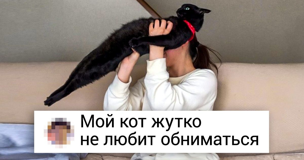 Whose cat is that