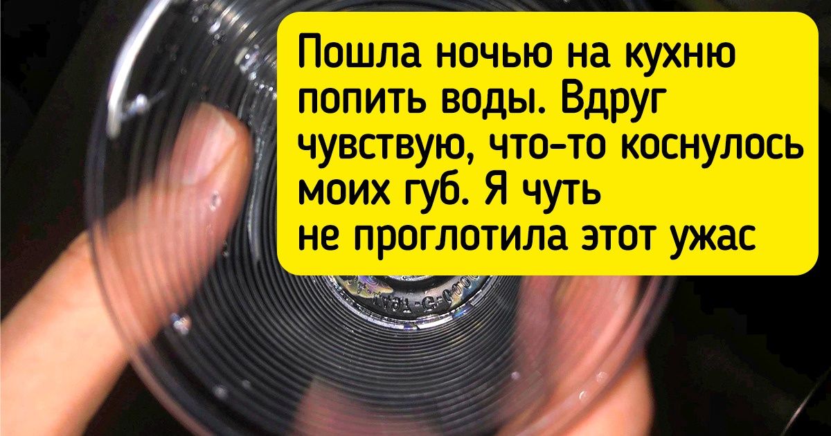 18 счастливчиков, которых судьба так чмокнула в макушку, что остальным остается только глазами хлопать 18 счастливчиков, которых судьба так чмокнула в макушку, что остальным остается только глазами хлопать