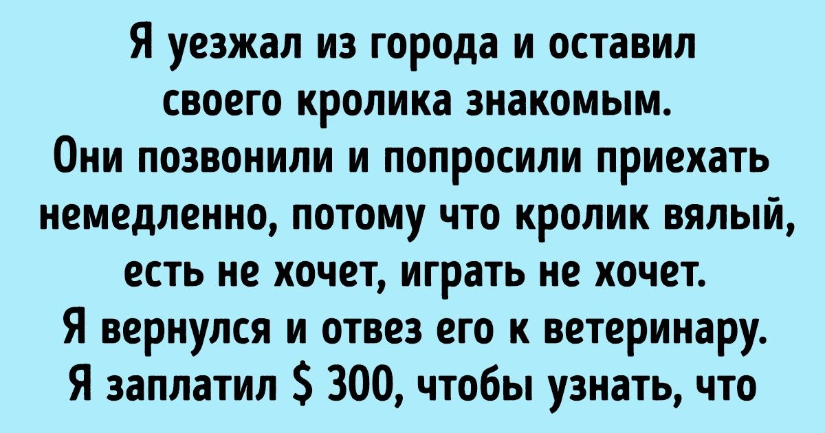20+ человек рассказали, как домашние животные поразили их своей находчивостью 20+ человек рассказали, как домашние животные поразили их своей находчивостью