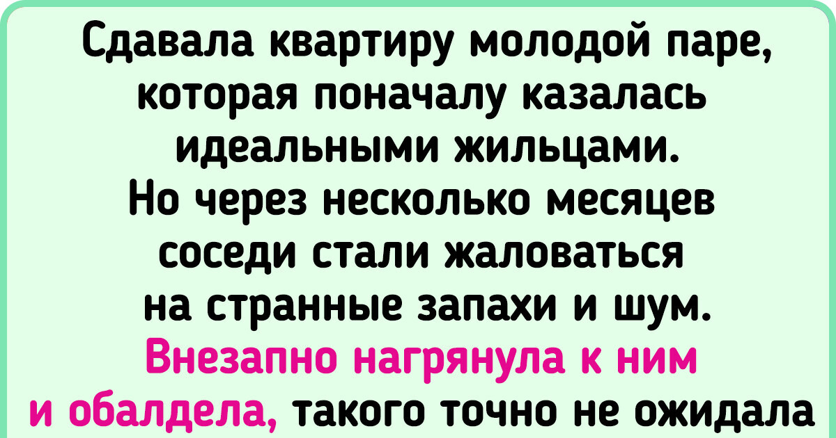 15+ курьезных историй о жильцах, арендодателях и ситуациях, в которые они попадают