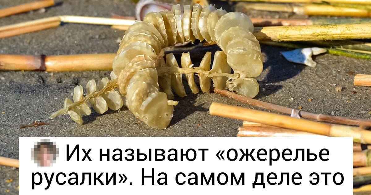 Искусство ласкать яички: техники и секреты Эгглинга