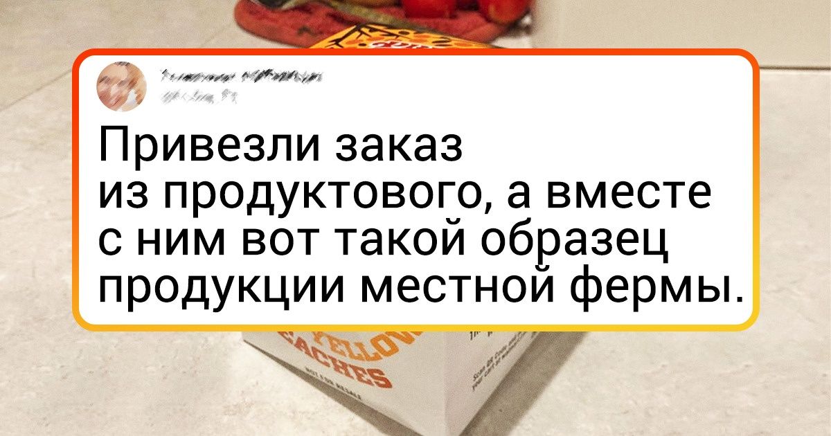 20+ человек, которые не ожидали от судьбы такого царского подгона 20+ человек, которые не ожидали от судьбы такого царского подгона