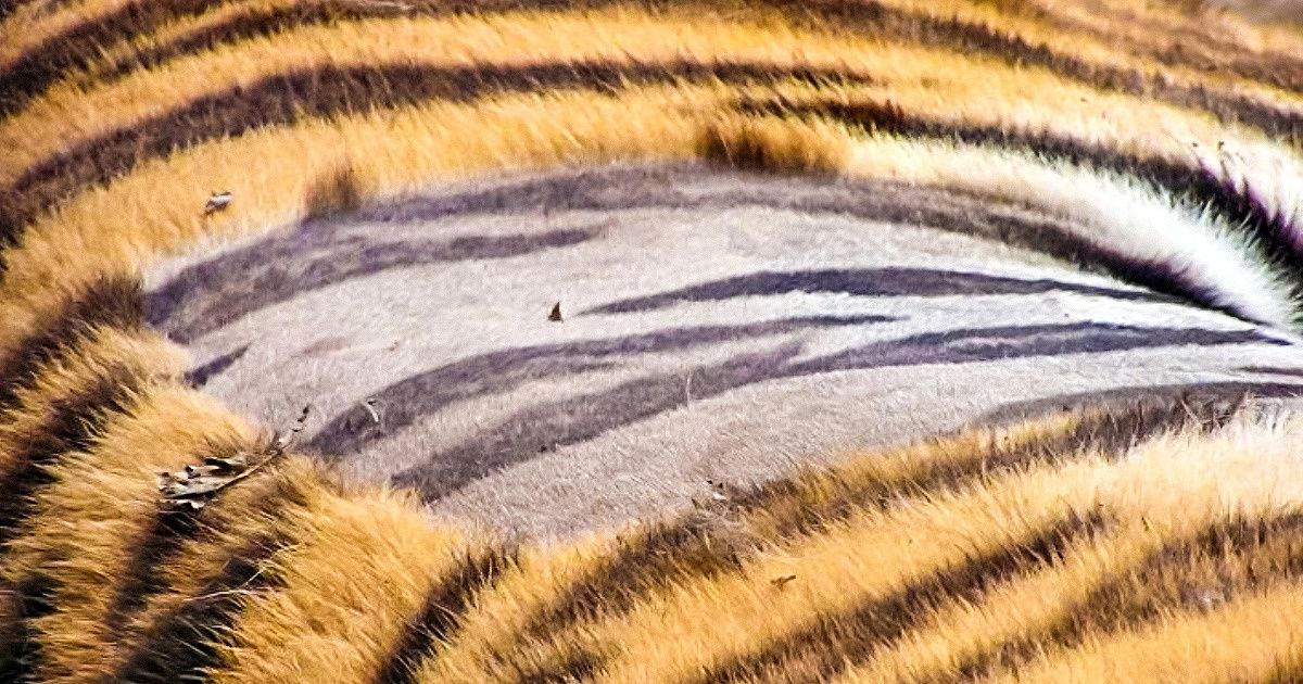 22 фотографии, после просмотра которых хочется воскликнуть: «Природа, ты восхитительна!» 22 фотографии, после просмотра которых хочется воскликнуть: «Природа, ты восхитительна!»