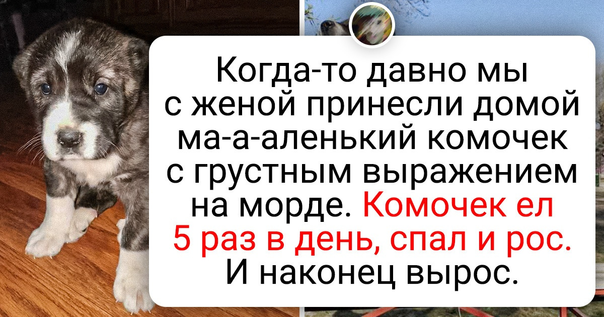 20+ фото, которые лучше тысячи слов описывают, что такое прогресс 20+ фото, которые лучше тысячи слов описывают, что такое прогресс