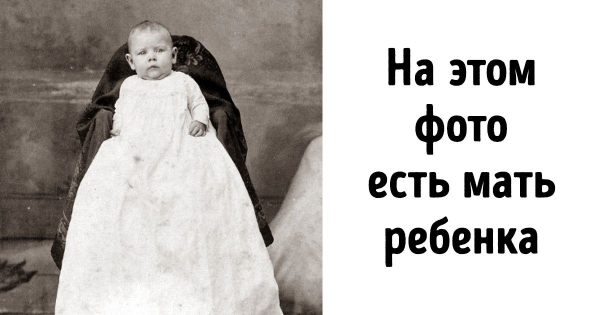 15 безумных фактов, каждый из которых удостоился собственной статьи в «Википедии» 15 безумных фактов, каждый из которых удостоился собственной статьи в «Википедии»