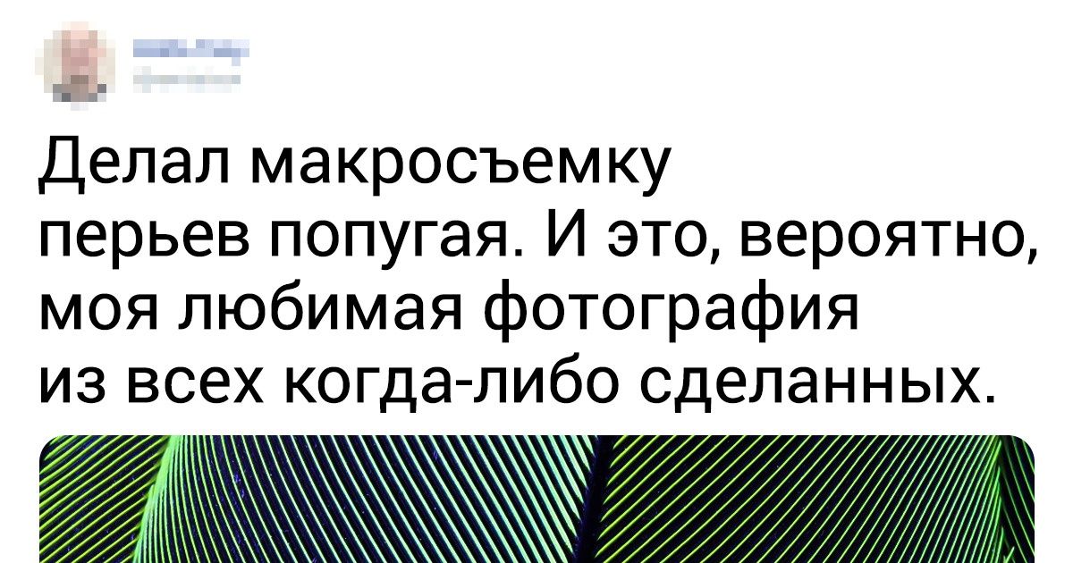 20+ фотографий, идеальность которых как глоток холодной минералки в жару 20+ фотографий, идеальность которых как глоток холодной минералки в жару