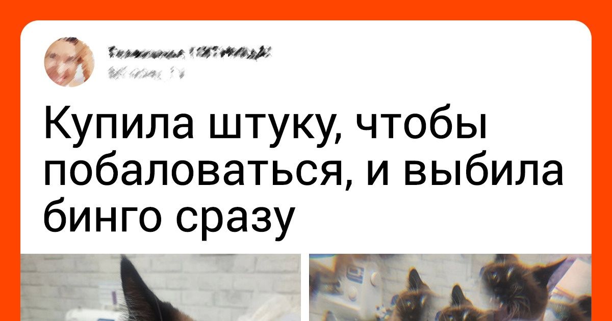 16 человек, у которых теперь есть вещь мечты и счастья полные штаны 16 человек, у которых теперь есть вещь мечты и счастья полные штаны