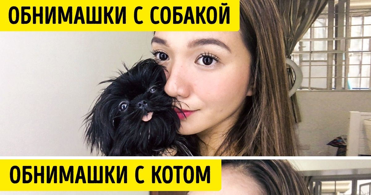 20+ наглядных доказательств, что кошек и собак природа создала для разных целей 20+ наглядных доказательств, что кошек и собак природа создала для разных целей