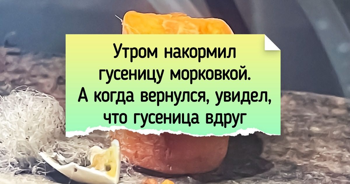 18 человек, которые совершили маленькие открытия со словами «Теперь мой мир не будет прежним» 18 человек, которые совершили маленькие открытия со словами «Теперь мой мир не будет прежним»