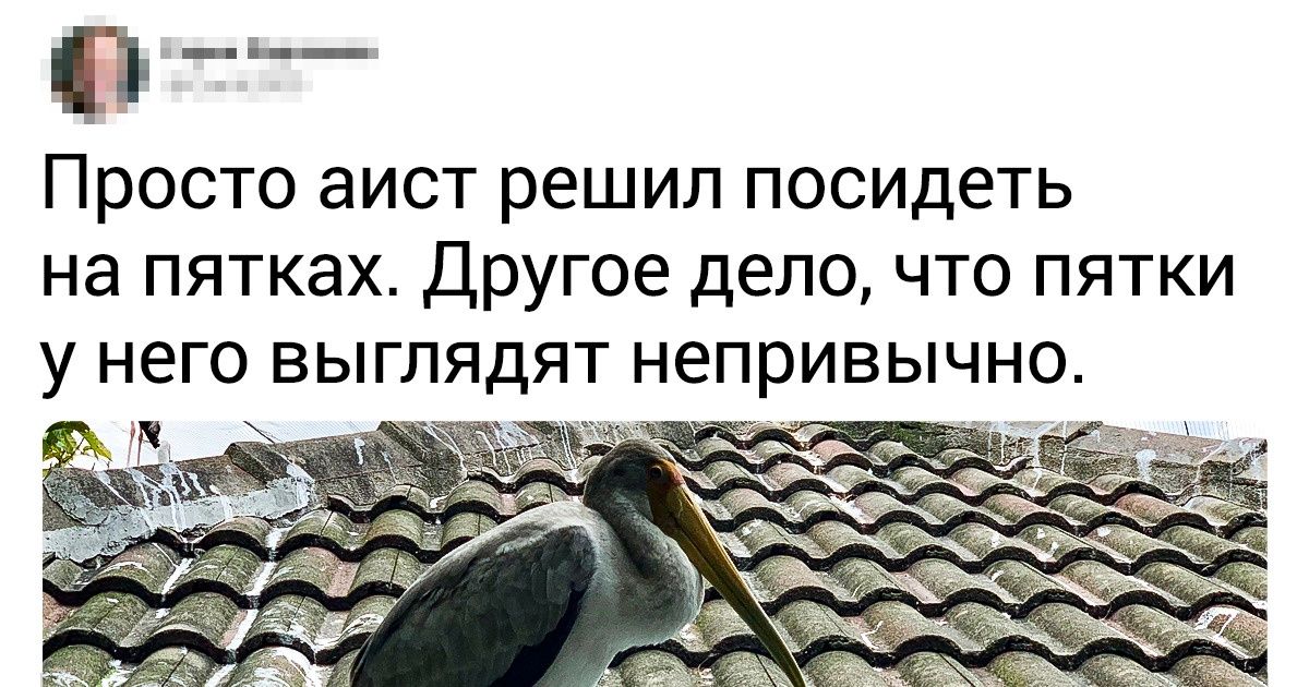 20+ свежих пользовательских открытий, которые грянули как гром среди ясного неба 20+ свежих пользовательских открытий, которые грянули как гром среди ясного неба