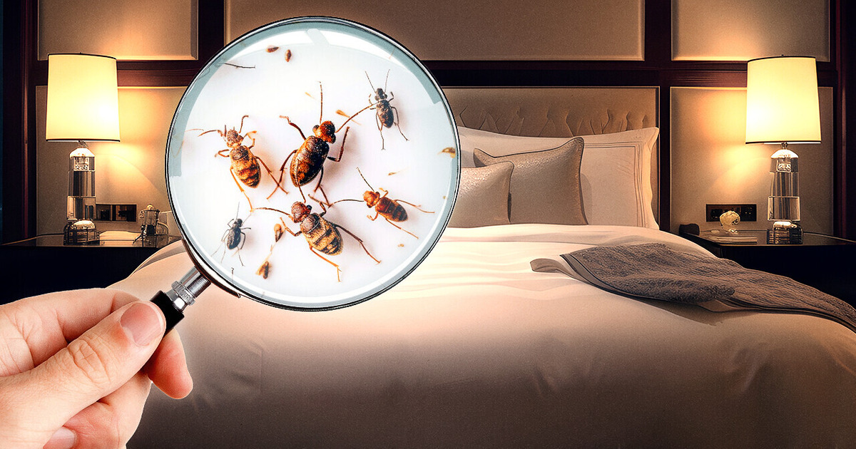 Берегитесь невидимой опасности в гостиничном номере, предупреждают ученые