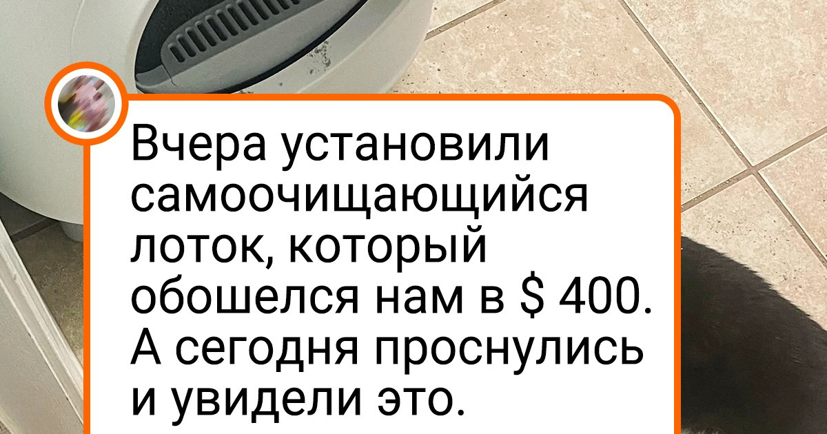 20+ неугомонных питомцев, которые в два счета доводят своих владельцев до нервного срыва 20+ неугомонных питомцев, которые в два счета доводят своих владельцев до нервного срыва