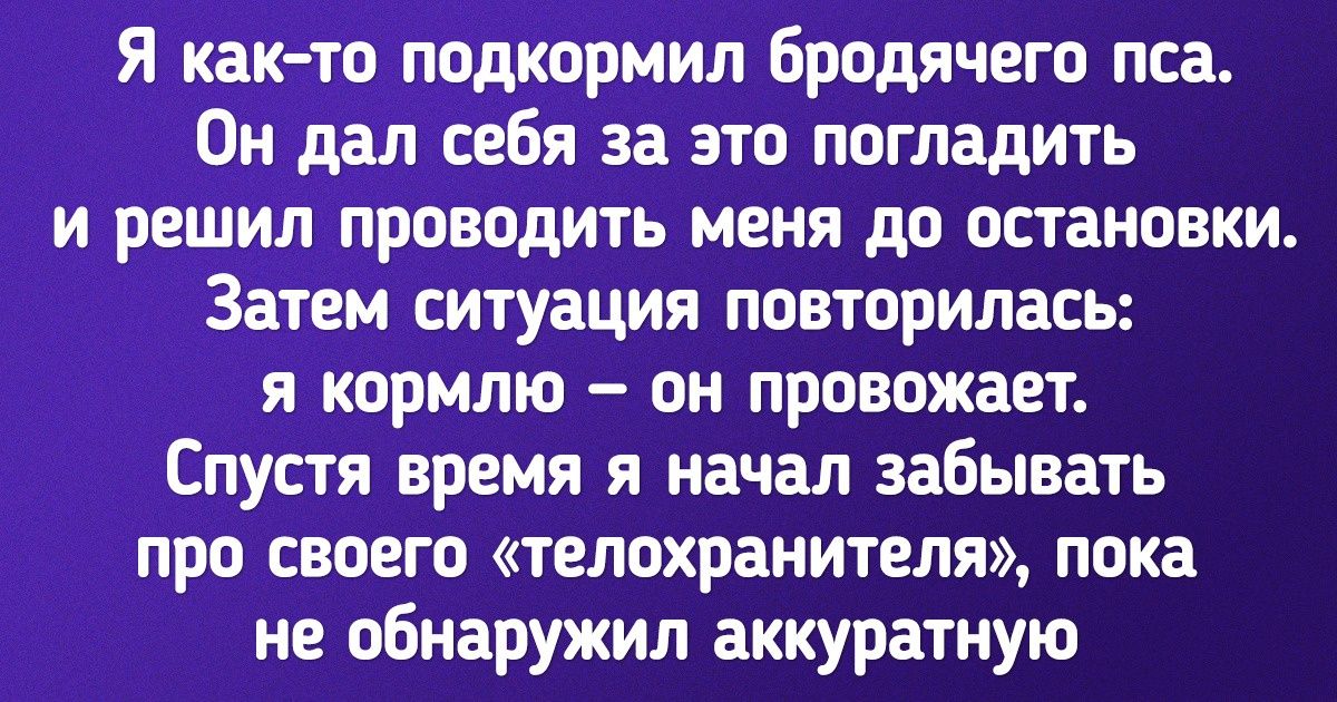 20+ питомцев, которые заимели странные привычки, чтобы манипулировать хозяевами 20+ питомцев, которые заимели странные привычки, чтобы манипулировать хозяевами