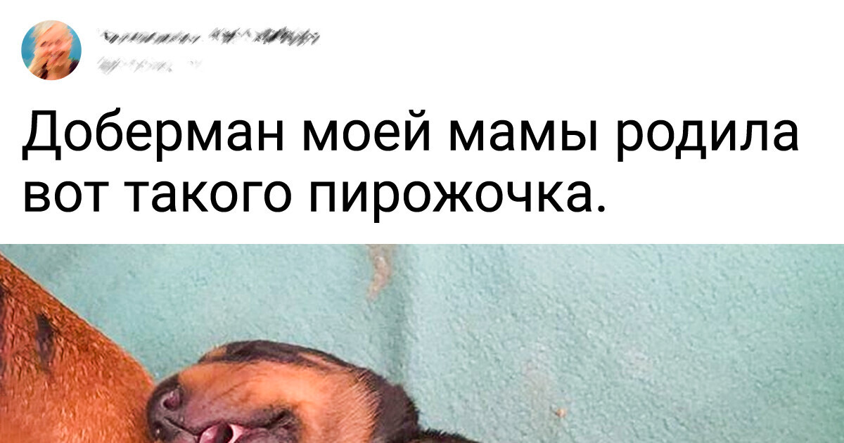 13 фотографий, которые согреют не хуже весеннего солнца