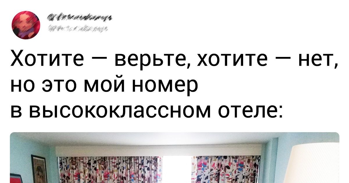 20 человек, которые просто забронировали номер в отеле, а получили кота в мешке 20 человек, которые просто забронировали номер в отеле, а получили кота в мешке