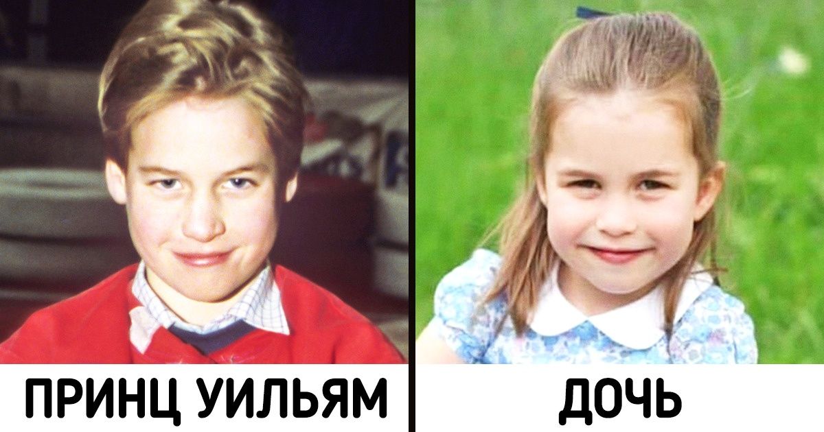 17 фото, которые говорят красноречивее теста ДНК 17 фото, которые говорят красноречивее теста ДНК