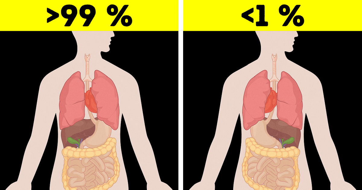 28 фактов о теле, которые изменят ваше представление о себе