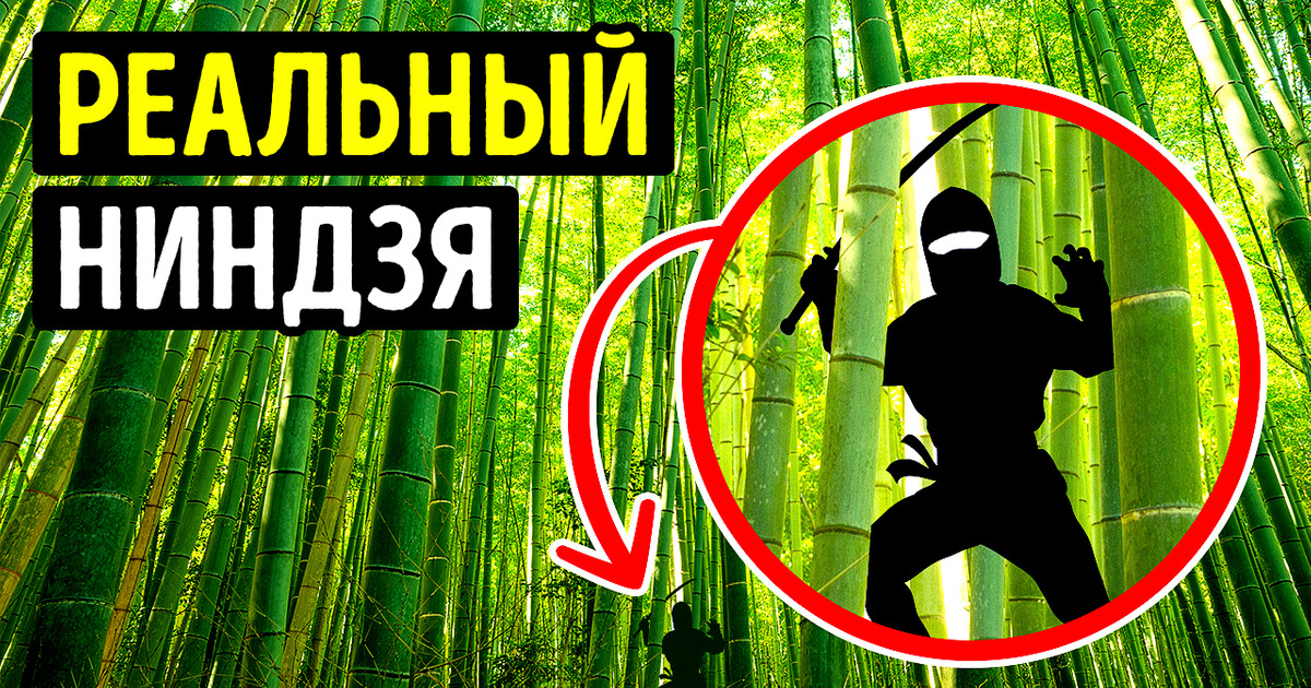 На Земле остался лишь один настоящий ниндзя На Земле остался лишь один настоящий ниндзя