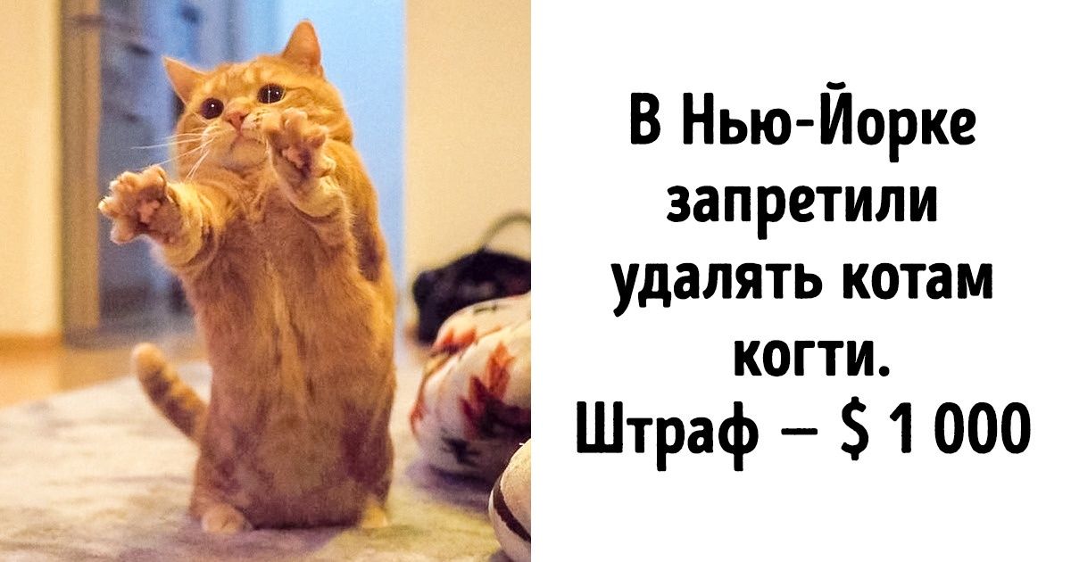 14 новостей со всего мира, которые доказывают, что у человечества есть шанс исправиться 14 новостей со всего мира, которые доказывают, что у человечества есть шанс исправиться