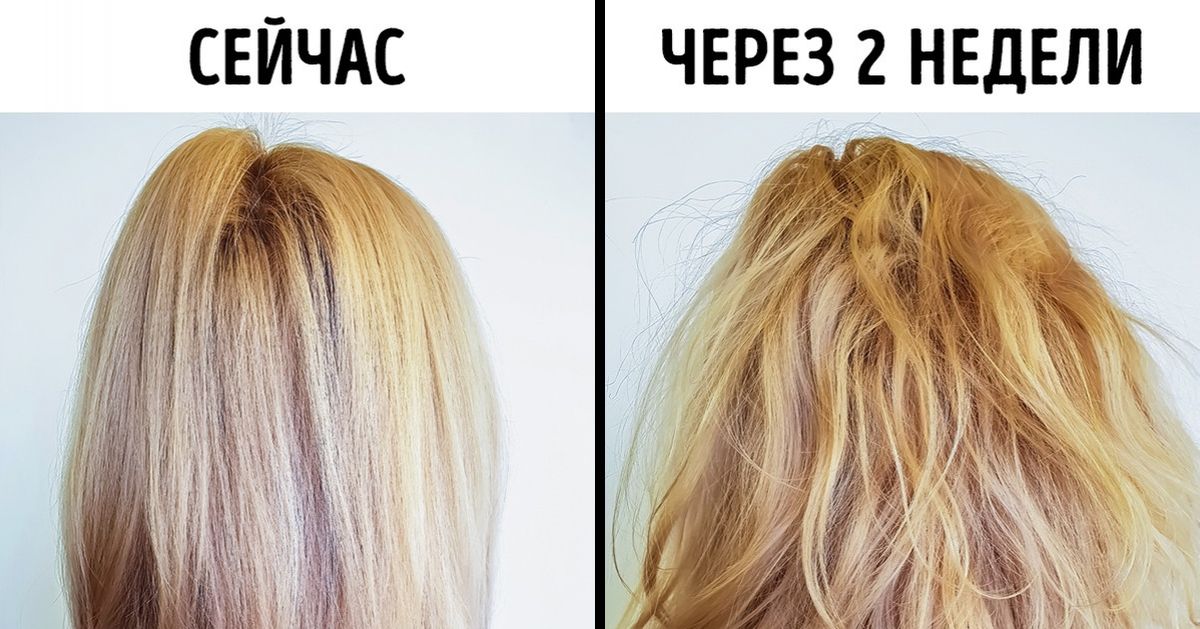 10 косметических средств, от которых не будет ничего, кроме дыры в бюджете 10 косметических средств, от которых не будет ничего, кроме дыры в бюджете
