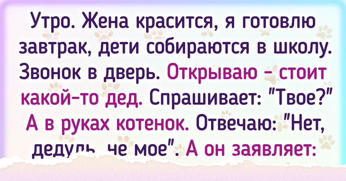 20+ жизненных историй о том, что порой не мы выбираем себе кота, а он нас 20+ жизненных историй о том, что порой не мы выбираем себе кота, а он нас