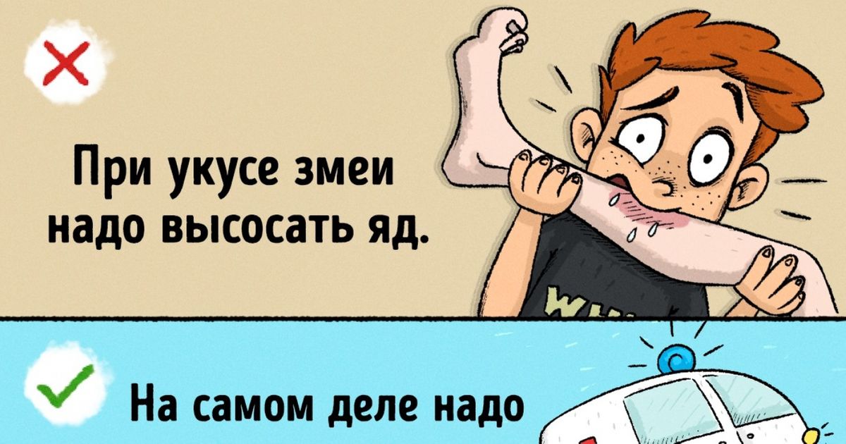 Укусила змея надо отсосать. Анекдоты про змей. При укусе змеи необходимо. Первая помощь при укусе змеи. Укусила змея надо отсосать.