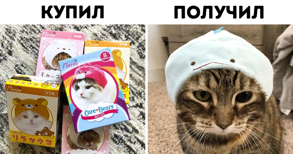 16 товаров, которые только японцы могли додуматься засунуть в торговые автоматы