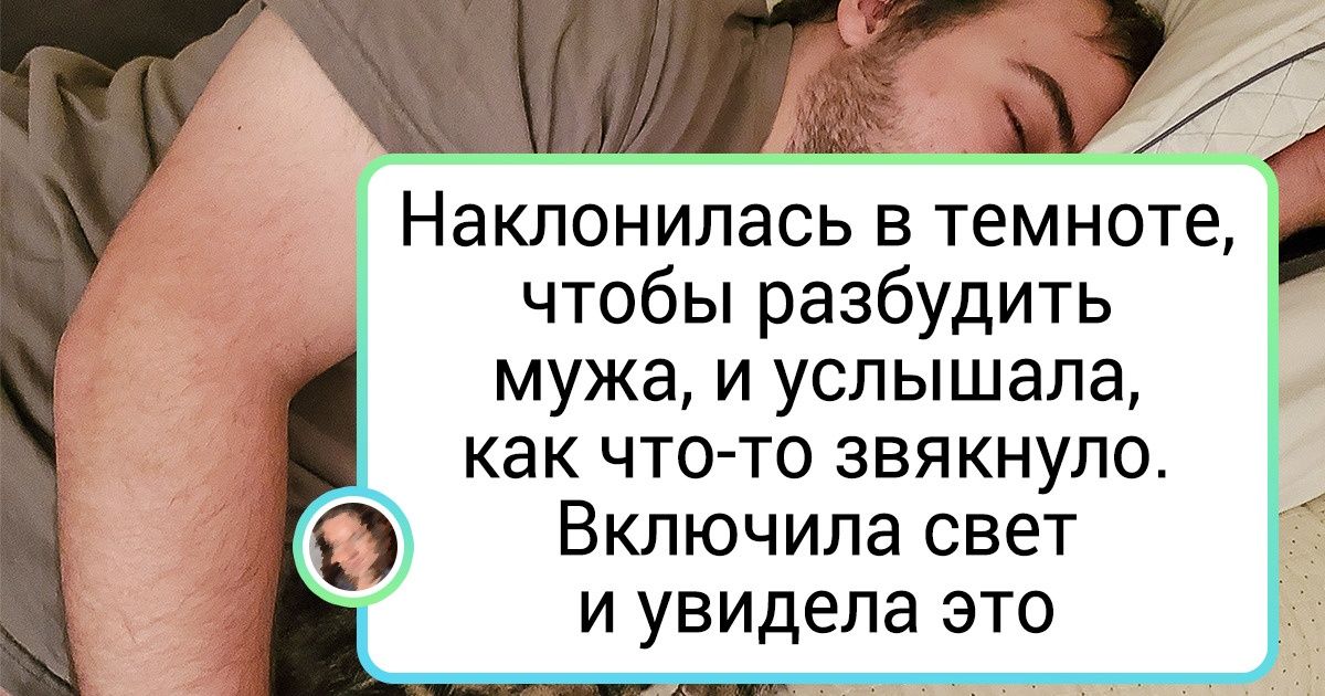 20+ доказательств того, что мужчины любят кошек всеми фибрами души, но никогда не признаются 20+ доказательств того, что мужчины любят кошек всеми фибрами души, но никогда не признаются
