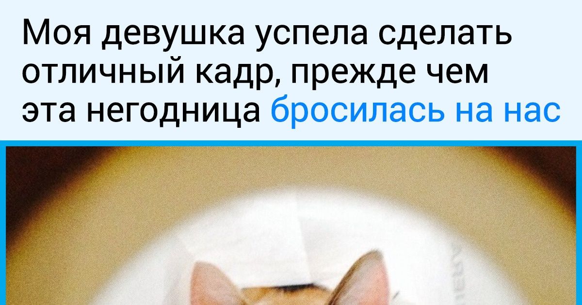 18 настолько идеальных кадров, что порой задумываешься, а не фотошоп ли это