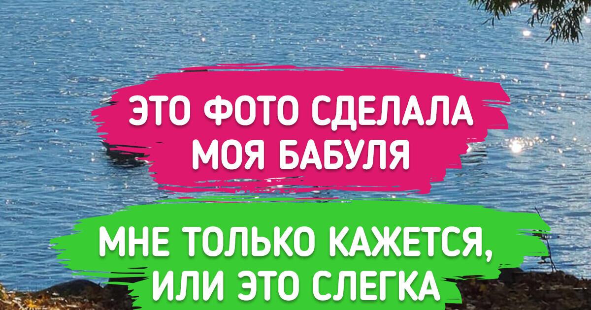 20 фото, которые по чистой случайности оказались похожи на картины эпохи Возрождения