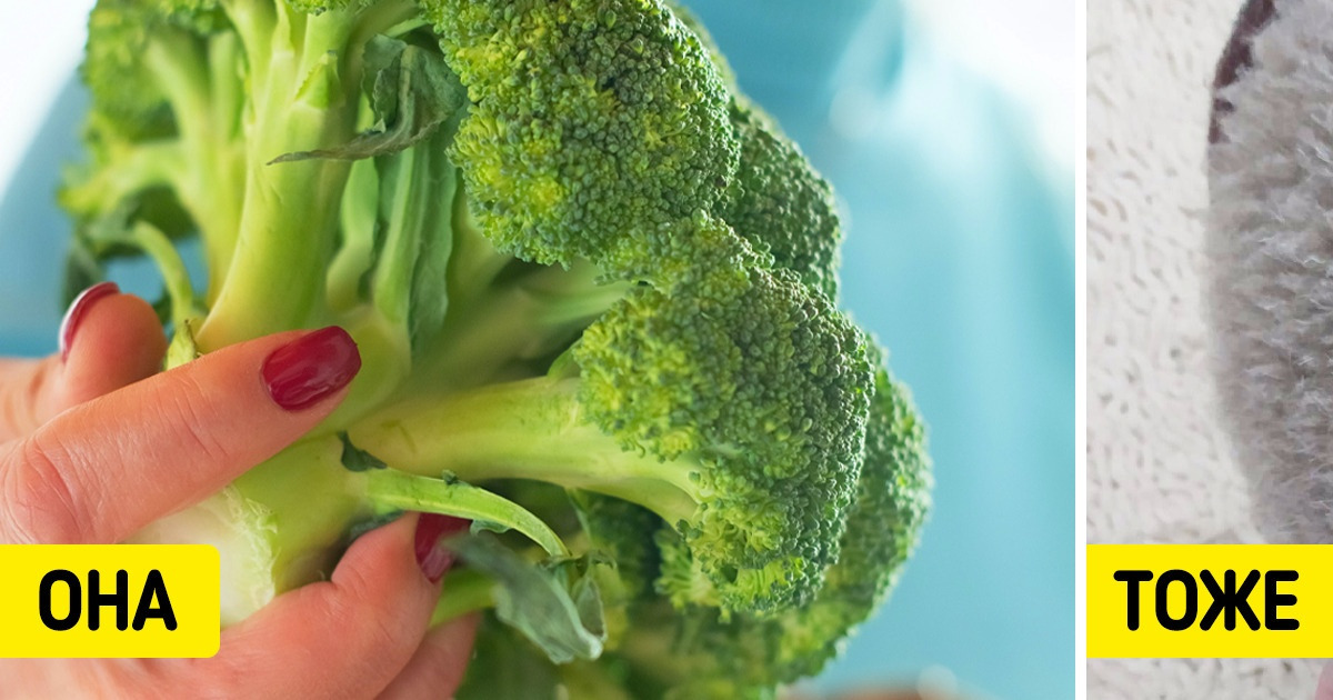 10 слов, которые мы часто употребляем не в том роде и рискуем показаться неграмотными