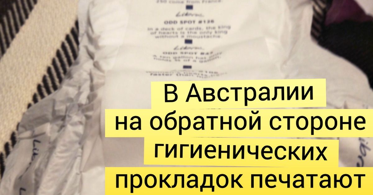 18 доказательств того, что в Австралии и кроме кенгуру полно чудес 18 доказательств того, что в Австралии и кроме кенгуру полно чудес