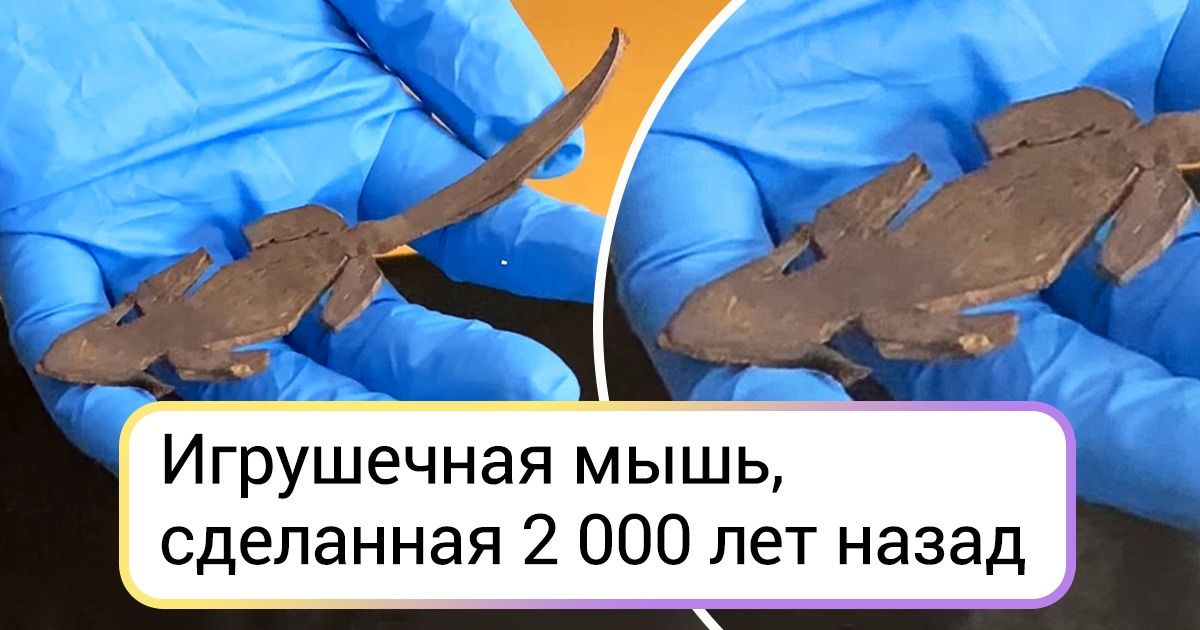 19 музейных вещей, от одного вида которых весь интернет вздрогнет и побежит за билетами