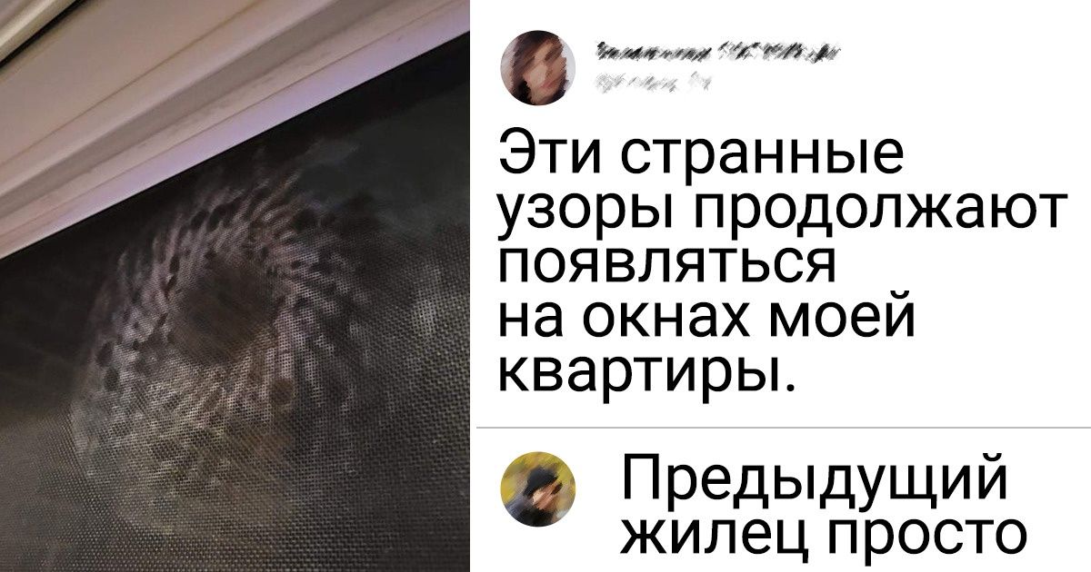 18 фотографий, показывать вам которые без объяснений было бы настоящим преступлением 18 фотографий, показывать вам которые без объяснений было бы настоящим преступлением