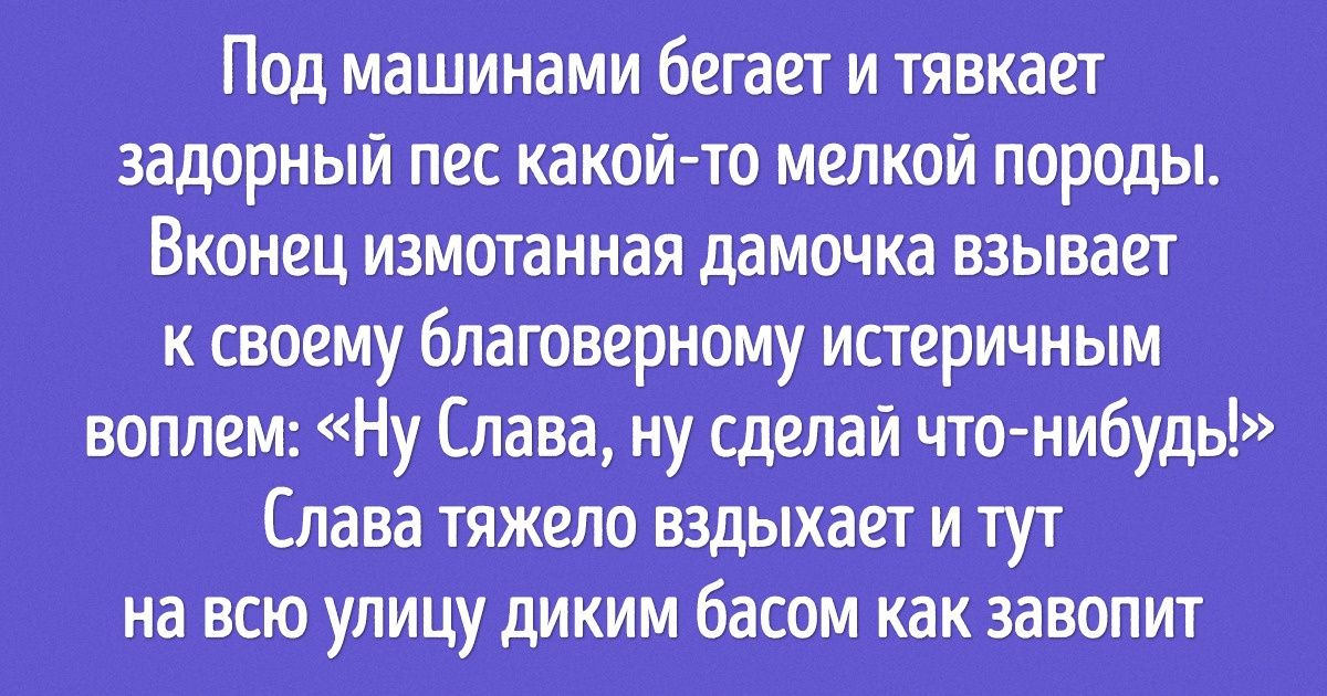 Пользователи сети обсудили звучные имена своих питомцев (Подзывая к кормушке Полундру и Вермишель, трудно не улыбнуться) Пользователи сети обсудили звучные имена своих питомцев (Подзывая к кормушке Полундру и Вермишель, трудно не улыбнуться)