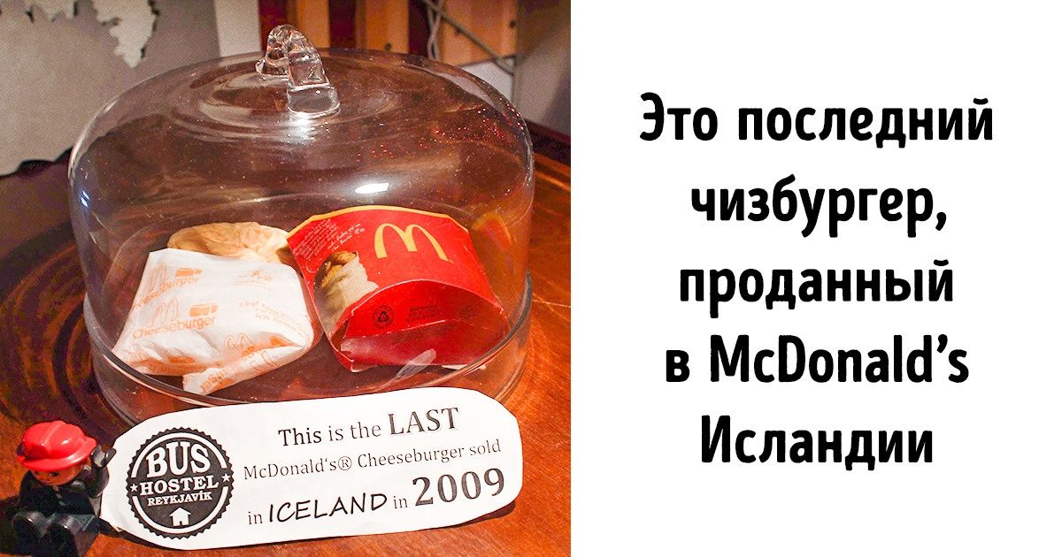 19 вещей, которые можно встретить разве что в Исландии 19 вещей, которые можно встретить разве что в Исландии