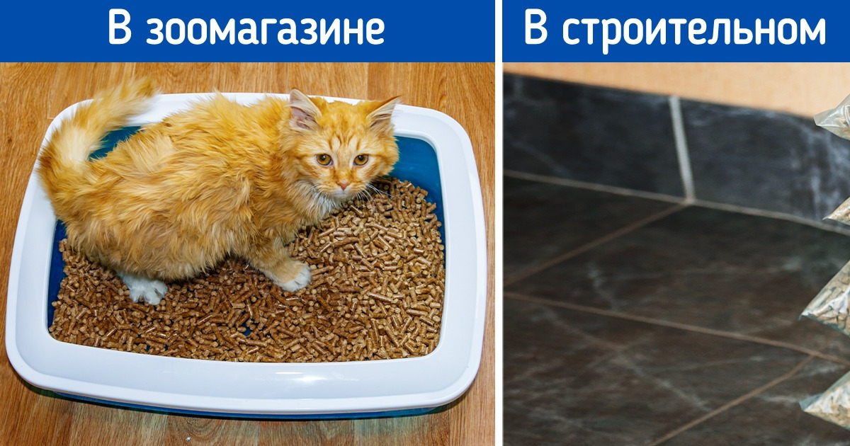 10 товаров из специализированных магазинов, которым можно найти неожиданное применение 10 товаров из специализированных магазинов, которым можно найти неожиданное применение
