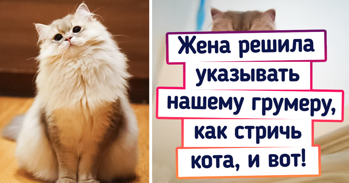 20+ фото, на которых такая разница, что глаза на лоб лезут 20+ фото, на которых такая разница, что глаза на лоб лезут