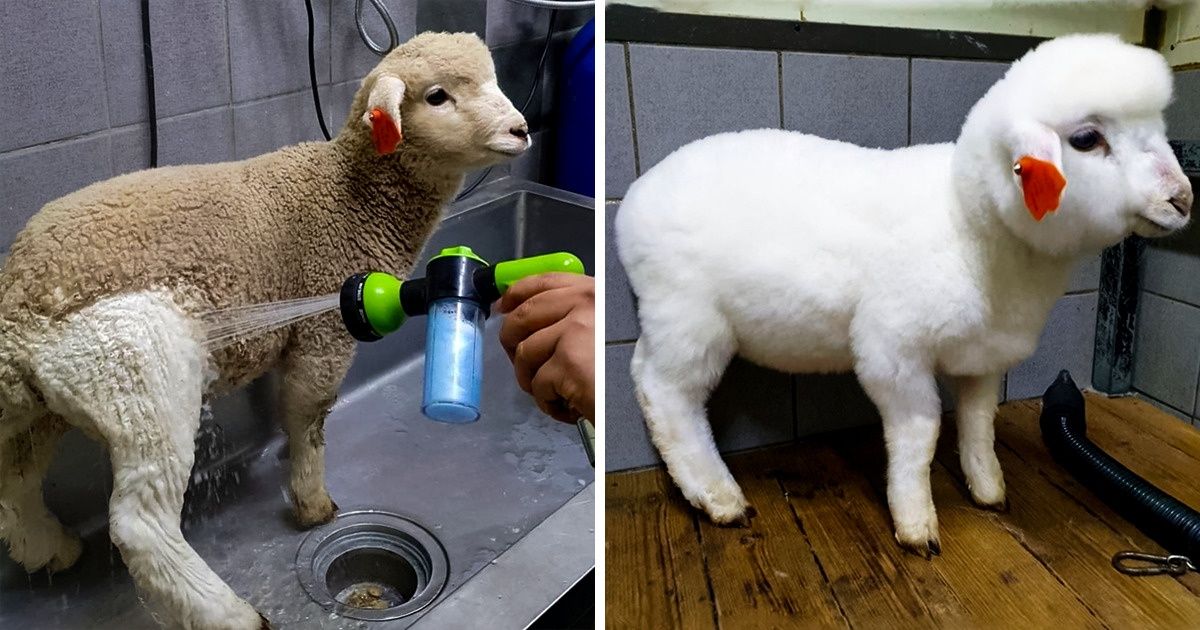 20 фото, после которых у вас зачешутся руки затеять генуборку 20 фото, после которых у вас зачешутся руки затеять генуборку