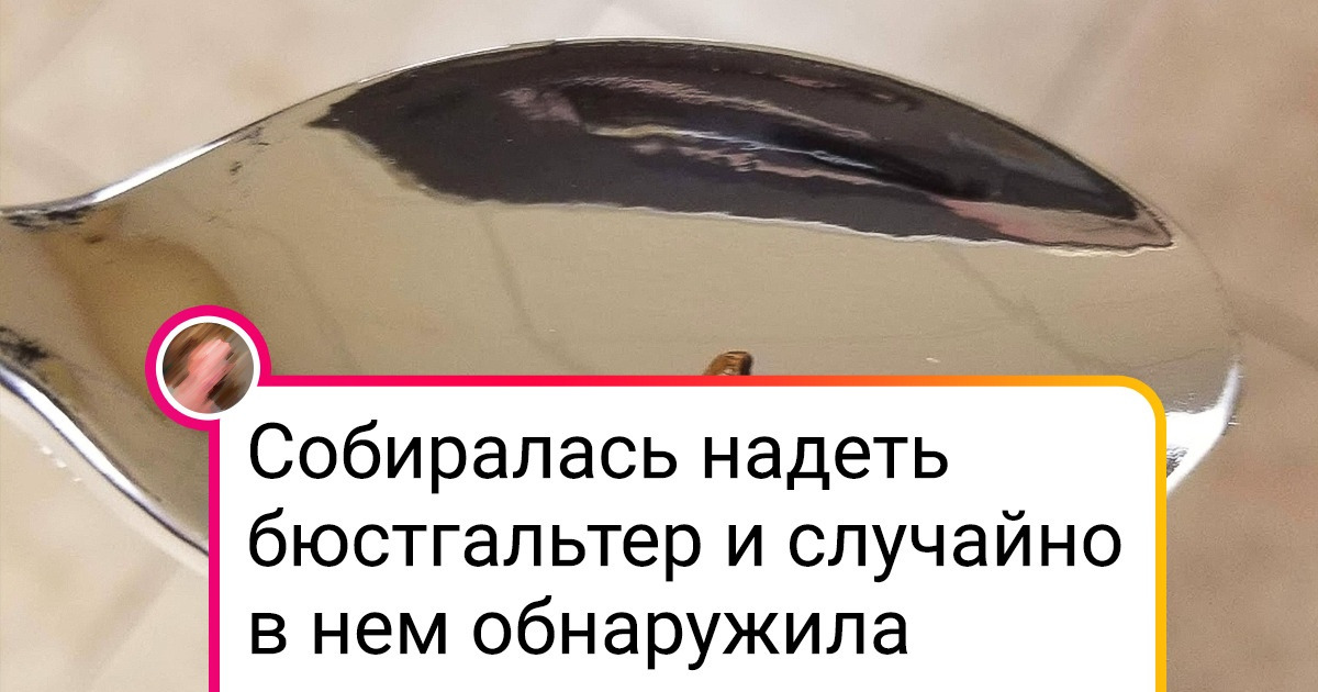 18 человек, которые не планировали особенных встреч, но наткнулись на животных там, где их совсем не ждали