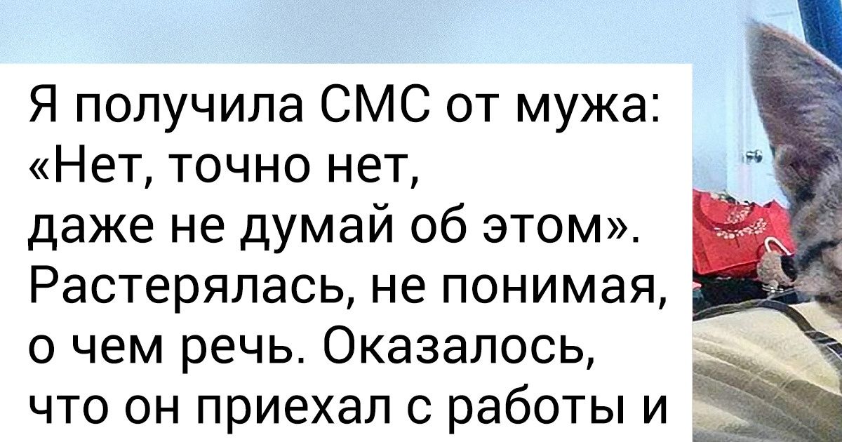 20+ смекалистых кошек, которые не стали ждать подарка от судьбы и сами выбрали себе хозяина 20+ смекалистых кошек, которые не стали ждать подарка от судьбы и сами выбрали себе хозяина