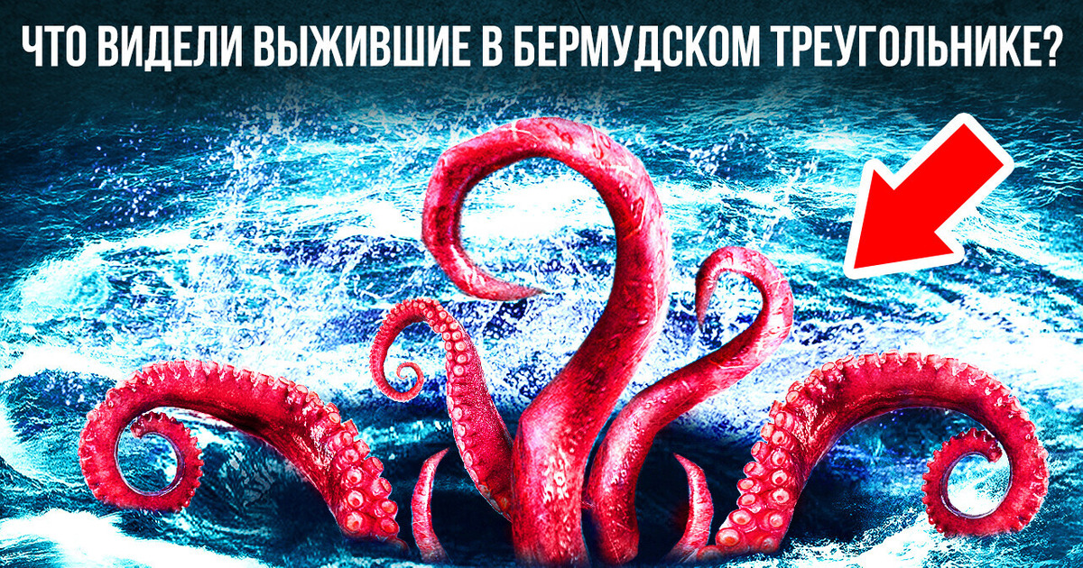 Жуткие существа могли топить корабли в Бермудском треугольнике! Жуткие существа могли топить корабли в Бермудском треугольнике!