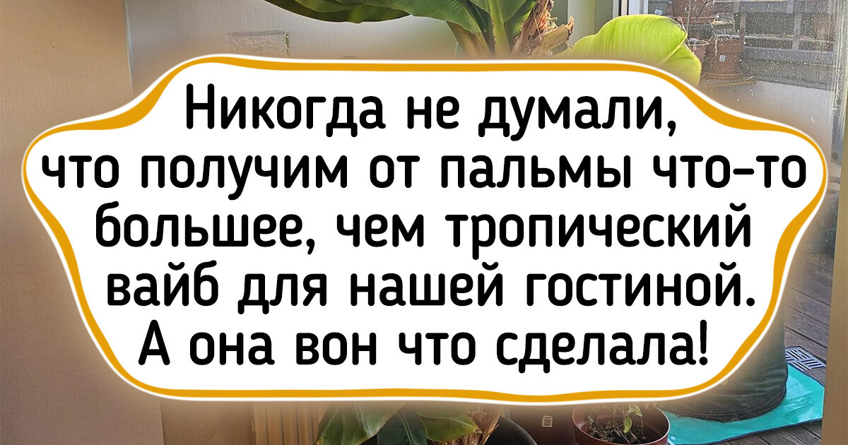 13 растений, которые смогли удивить своих владельцев